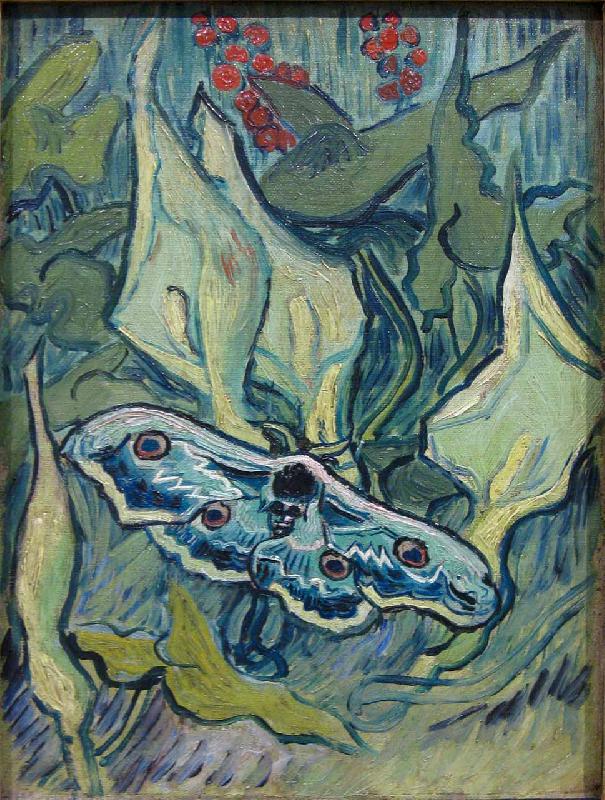 Vincent Van Gogh Butterflies China oil painting art